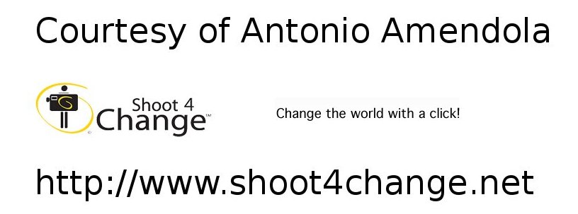 logo shoot4change